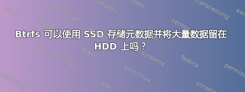 Btrfs 可以使用 SSD 存储元数据并将大量数据留在 HDD 上吗？