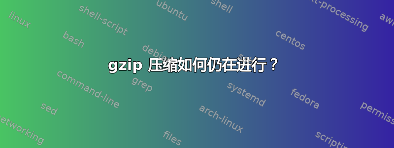 gzip 压缩如何仍在进行？