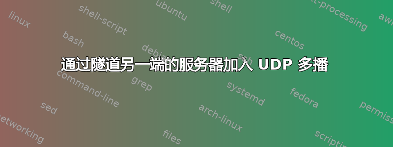 通过隧道另一端的服务器加入 UDP 多播