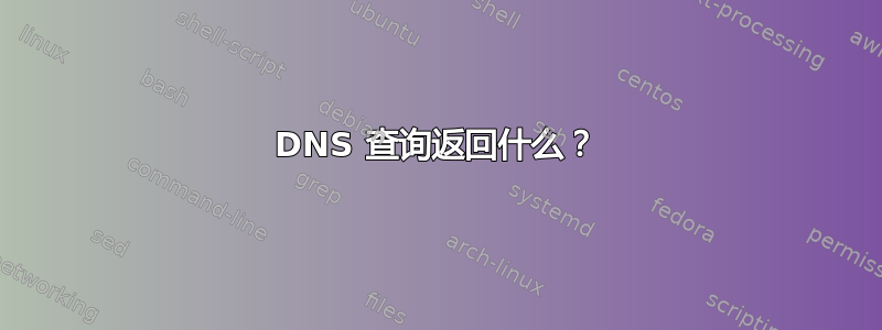 DNS 查询返回什么？