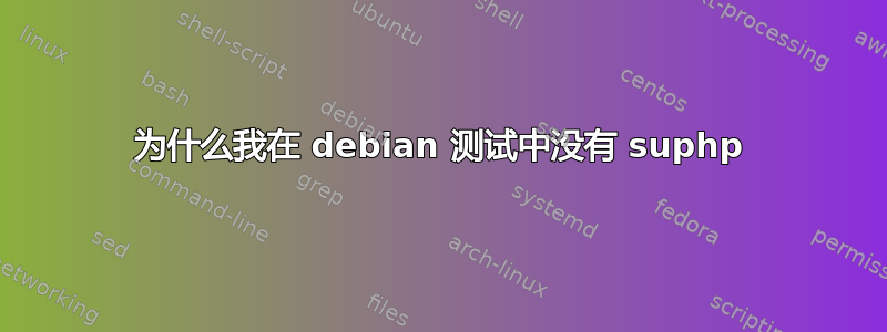 为什么我在 debian 测试中没有 suphp