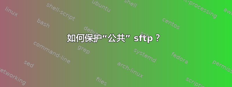 如何保护“公共” sftp？