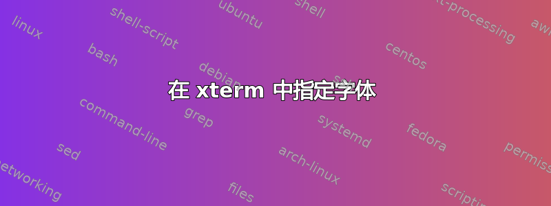 在 xterm 中指定字体