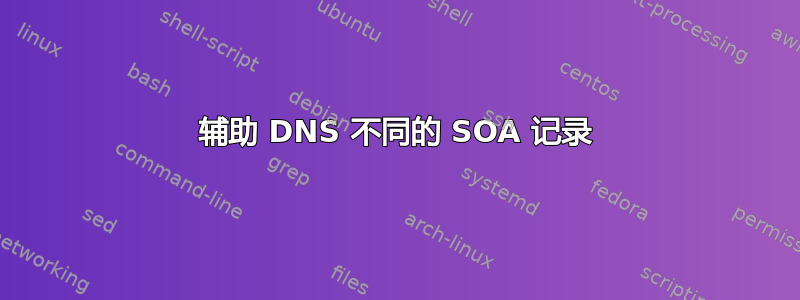 辅助 DNS 不同的 SOA 记录