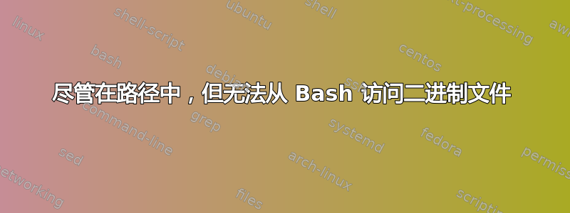 尽管在路径中，但无法从 Bash 访问二进制文件