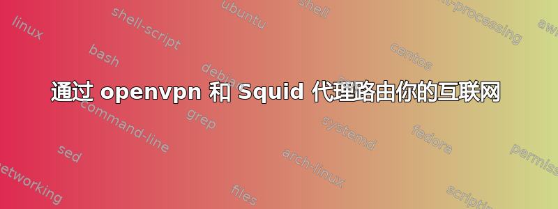 通过 openvpn 和 Squid 代理路由你的互联网