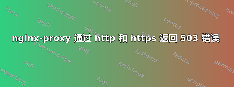 nginx-proxy 通过 http 和 https 返回 503 错误