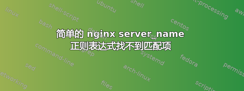 简单的 nginx server_name 正则表达式找不到匹配项