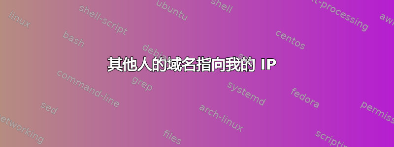 其他人的域名指向我的 IP 