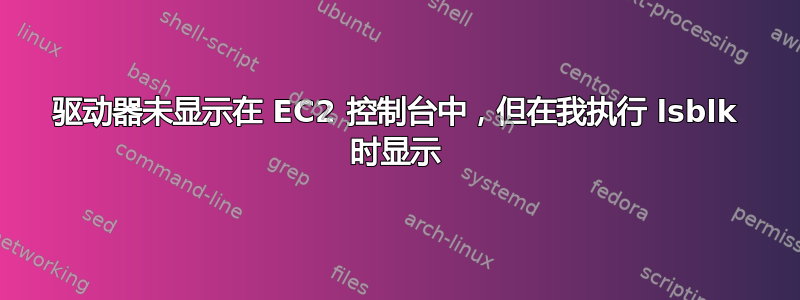 驱动器未显示在 EC2 控制台中，但在我执行 lsblk 时显示