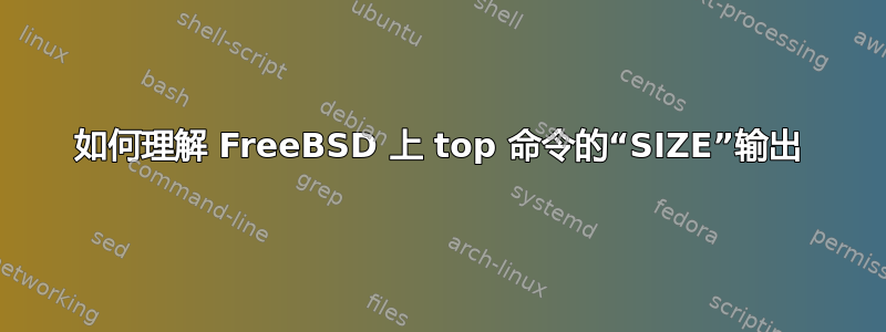 如何理解 FreeBSD 上 top 命令的“SIZE”输出