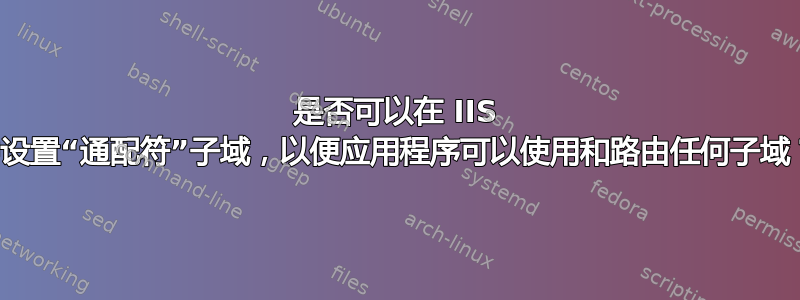 是否可以在 IIS 中设置“通配符”子域，以便应用程序可以使用和路由任何子域？