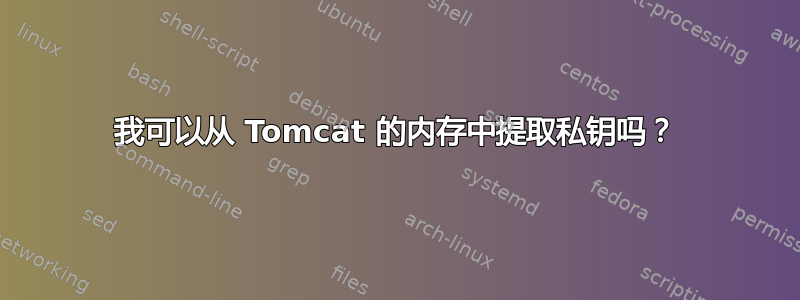 我可以从 Tomcat 的内存中提取私钥吗？