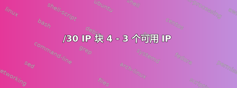 /30 IP 块 4 - 3 个可用 IP