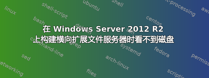 在 Windows Server 2012 R2 上构建横向扩展文件服务器时看不到磁盘