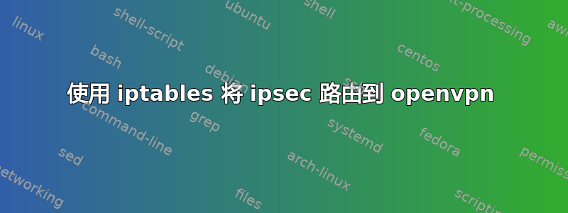 使用 iptables 将 ipsec 路由到 openvpn