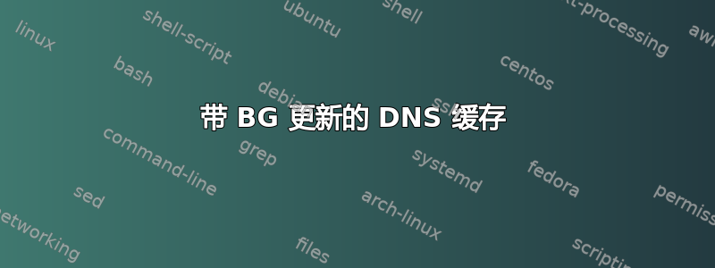 带 BG 更新的 DNS 缓存