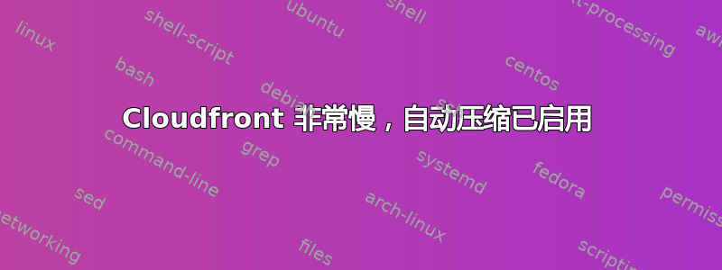 Cloudfront 非常慢，自动压缩已启用