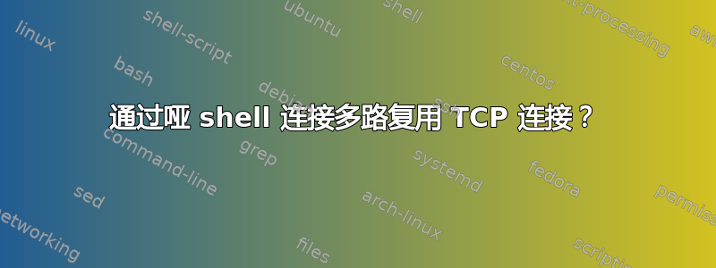 通过哑 shell 连接多路复用 TCP 连接？