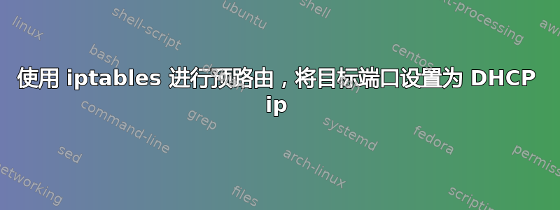 使用 iptables 进行预路由，将目标端口设置为 DHCP ip