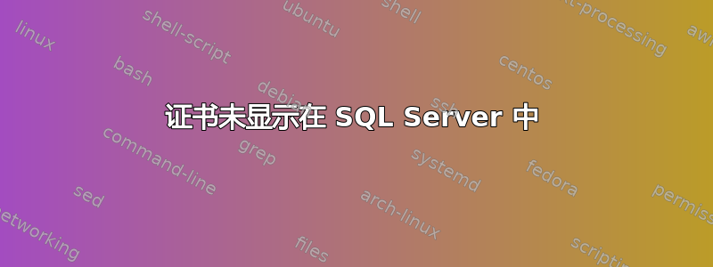 证书未显示在 SQL Server 中