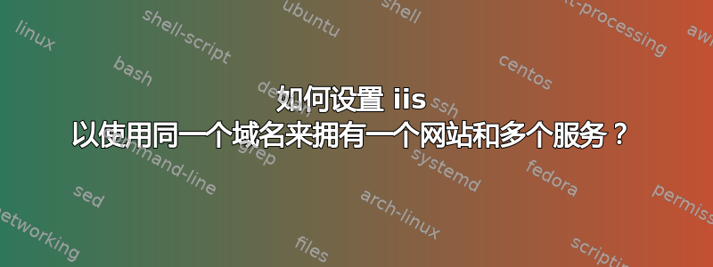 如何设置 iis 以使用同一个域名来拥有一个网站和多个服务？