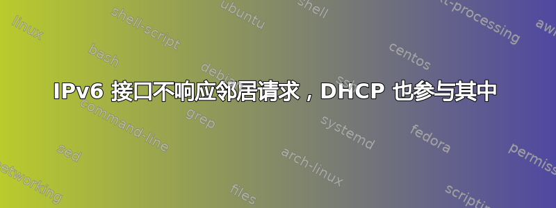 IPv6 接口不响应邻居请求，DHCP 也参与其中