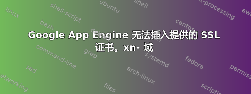 Google App Engine 无法插入提供的 SSL 证书。xn- 域