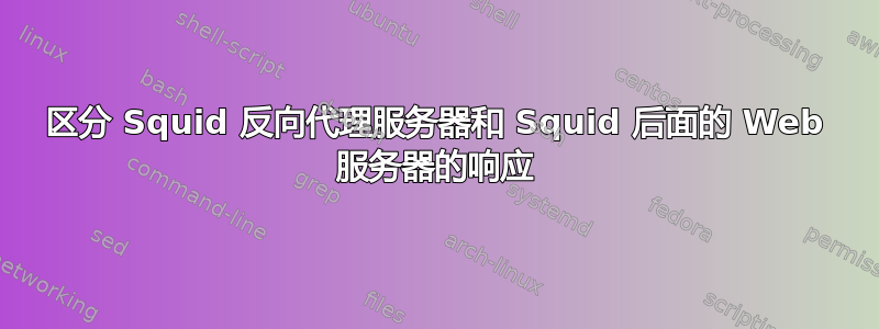 区分 Squid 反向代理服务器和 Squid 后面的 Web 服务器的响应