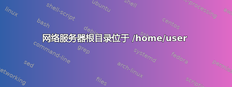 网络服务器根目录位于 /home/user