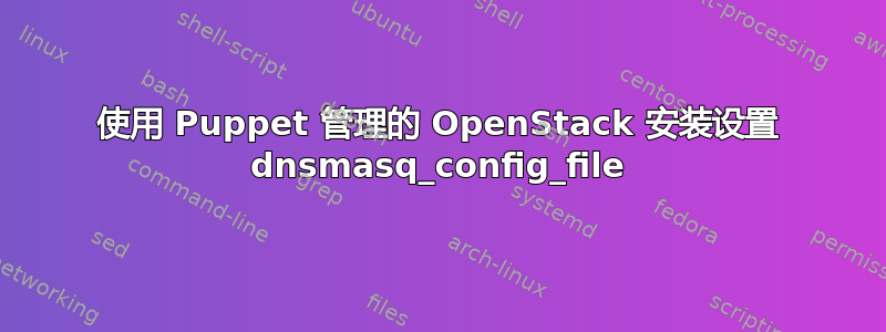 使用 Puppet 管理的 OpenStack 安装设置 dnsmasq_config_file