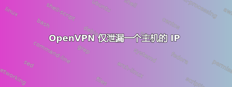 OpenVPN 仅泄漏一个主机的 IP