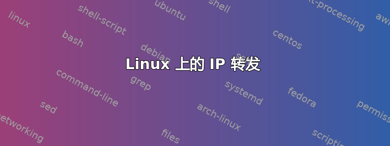 Linux 上的 IP 转发