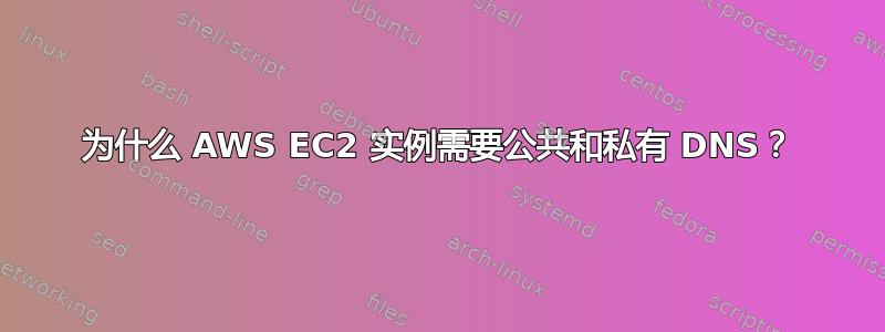 为什么 AWS EC2 实例需要公共和私有 DNS？