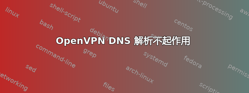 OpenVPN DNS 解析不起作用