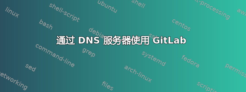 通过 DNS 服务器使用 GitLab