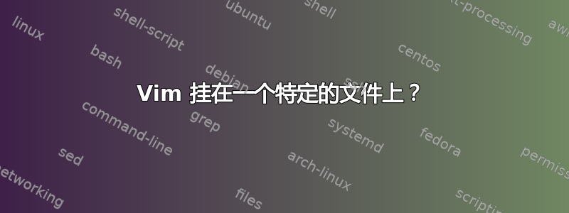 Vim 挂在一个特定的文件上？