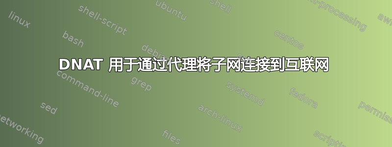 DNAT 用于通过代理将子网连接到互联网