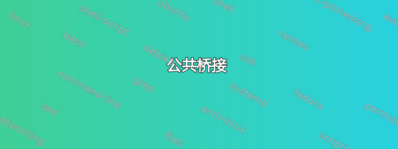 公共桥接