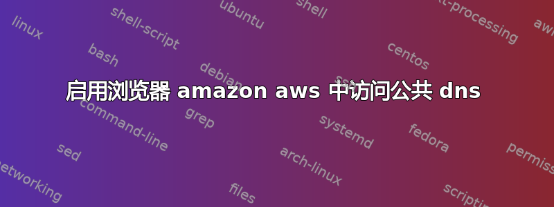 启用浏览器 amazon aws 中访问公共 dns