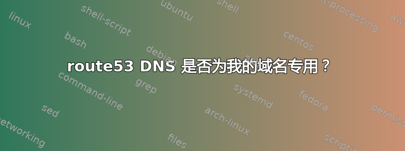 route53 DNS 是否为我的域名专用？