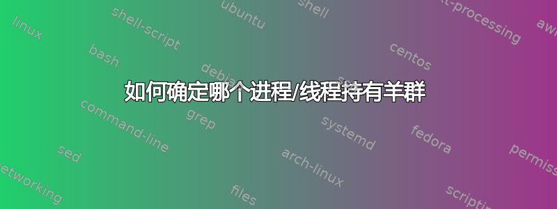 如何确定哪个进程/线程持有羊群