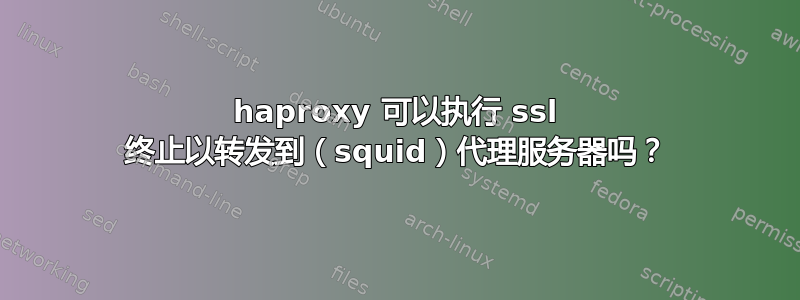 haproxy 可以执行 ssl 终止以转发到（squid）代理服务器吗？