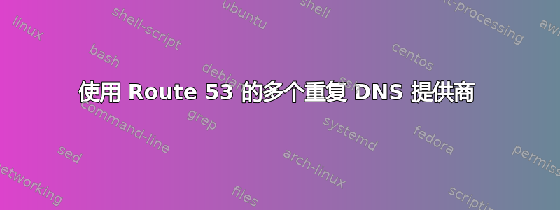 使用 Route 53 的多个重复 DNS 提供商