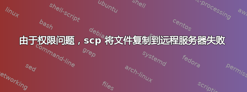 由于权限问题，scp 将文件复制到远程服务器失败