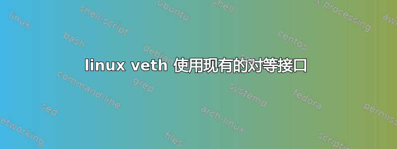 linux veth 使用现有的对等接口