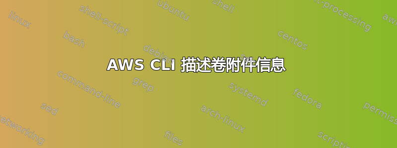 AWS CLI 描述卷附件信息