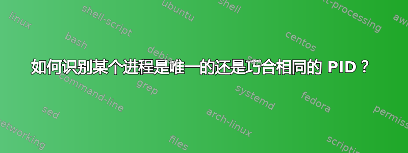 如何识别某个进程是唯一的还是巧合相同的 PID？