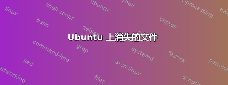 Ubuntu 上消失的文件