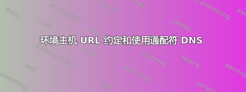 环境主机 URL 约定和使用通配符 DNS